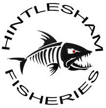 Hintlesham Fisheries